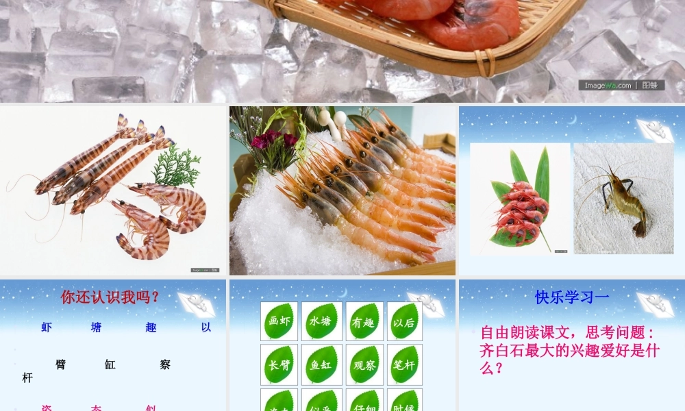 《画虾》教学课件新