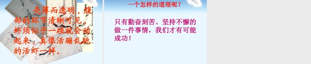 《画虾》教学课件新