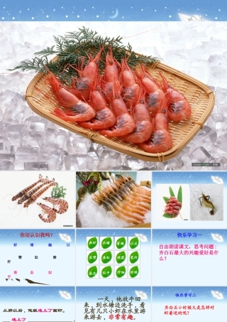 《画虾》教学课件新