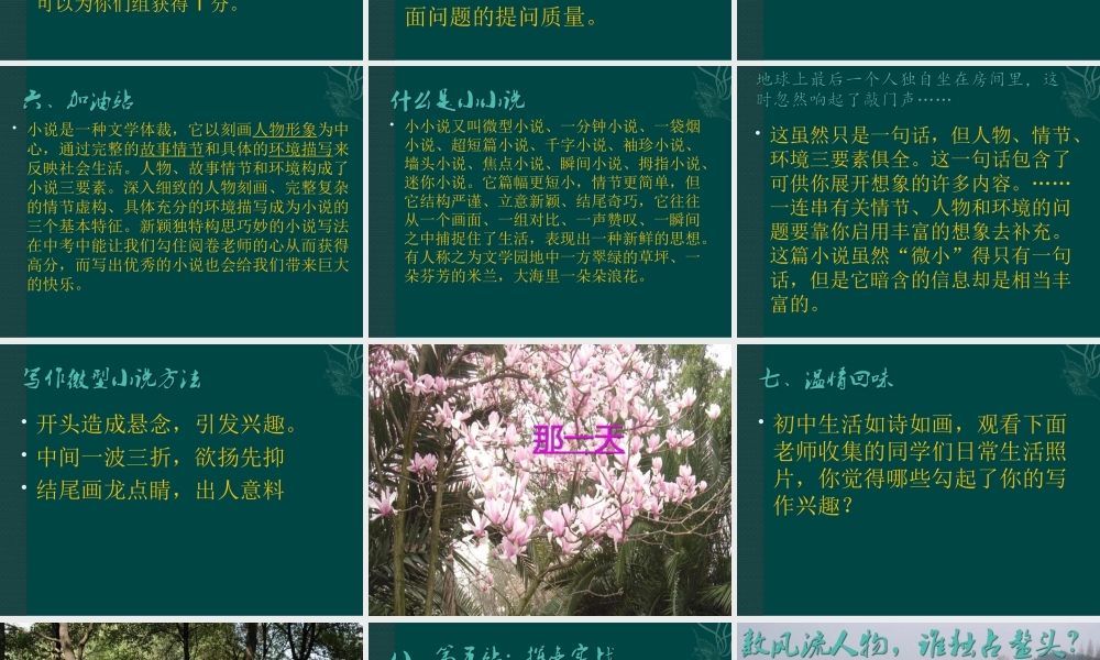 综合性学习走进小说天地