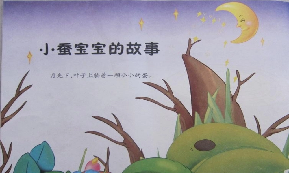 小蚕宝宝的故事