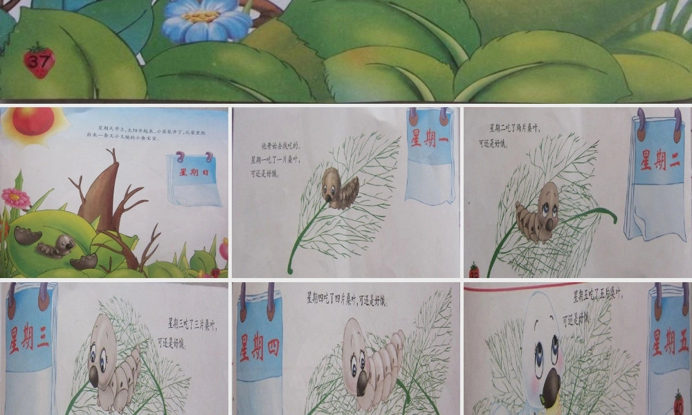 小蚕宝宝的故事