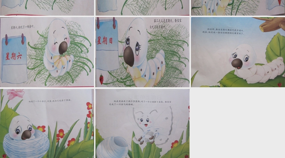 小蚕宝宝的故事