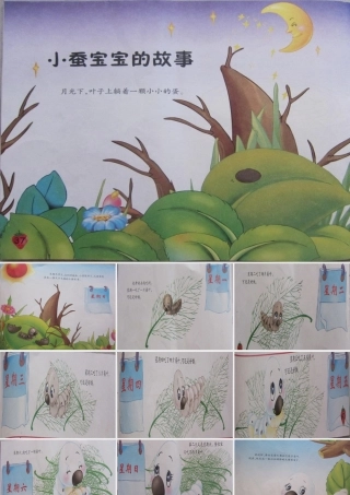 小蚕宝宝的故事