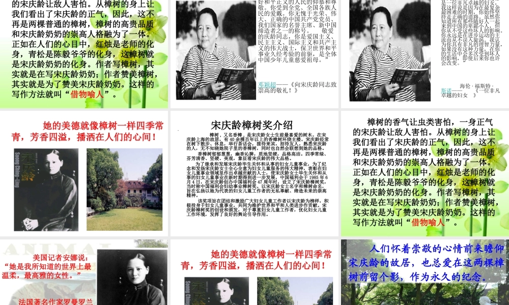 宋庆龄故居的樟树(雷)