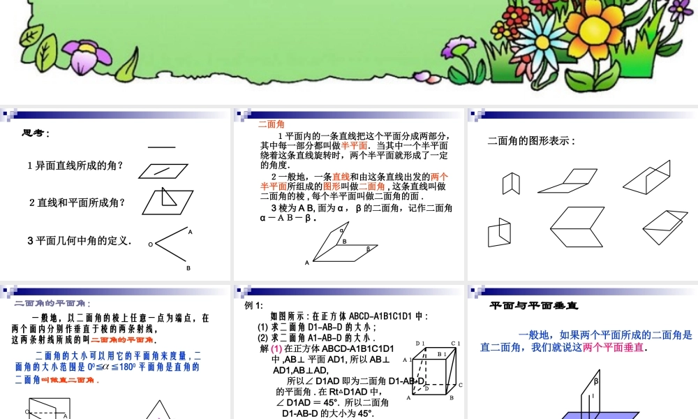 平面与平面的关系(2)