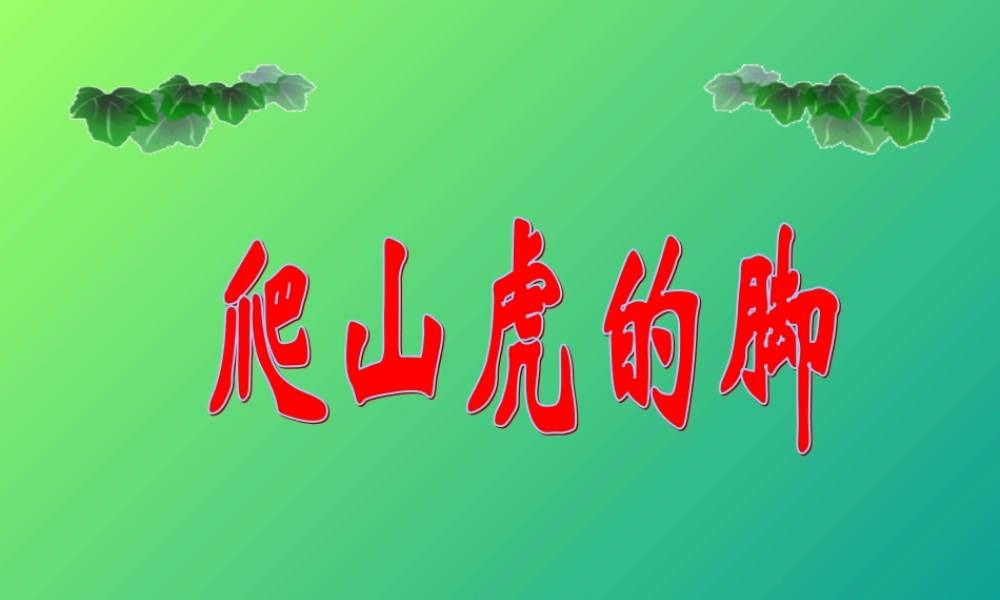 《爬山虎的脚》课件2