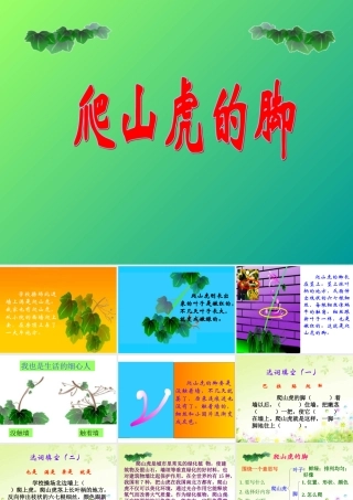 《爬山虎的脚》课件2
