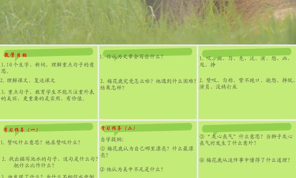 西师版小学三年级语文上册一只梅花鹿课件