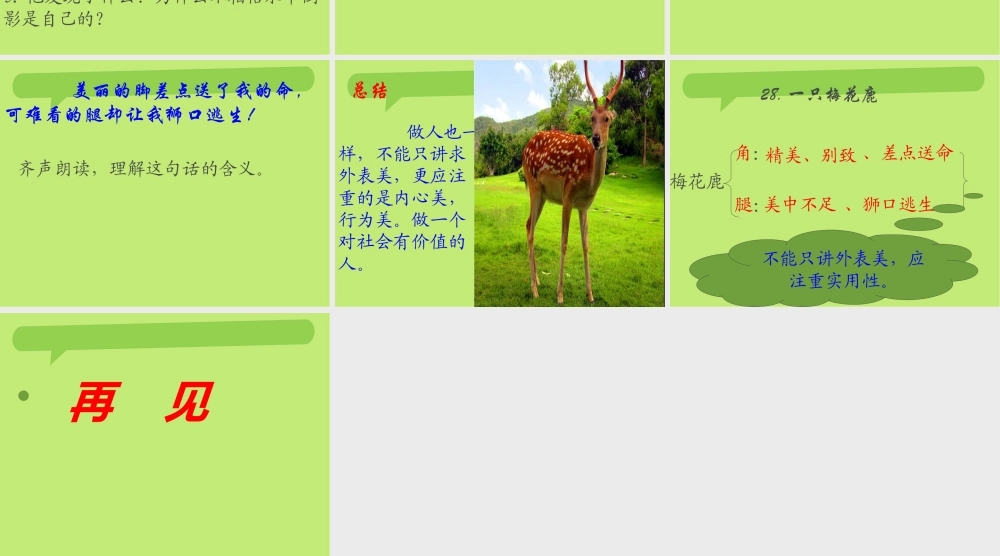 西师版小学三年级语文上册一只梅花鹿课件