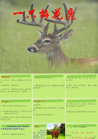 西师版小学三年级语文上册一只梅花鹿课件