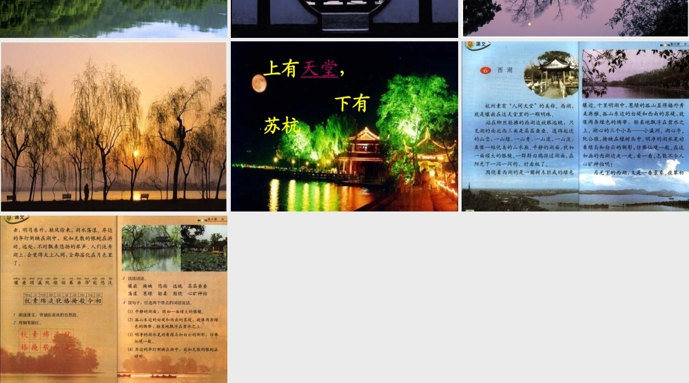 苏教版三年级语文上册《西湖》PPT课件