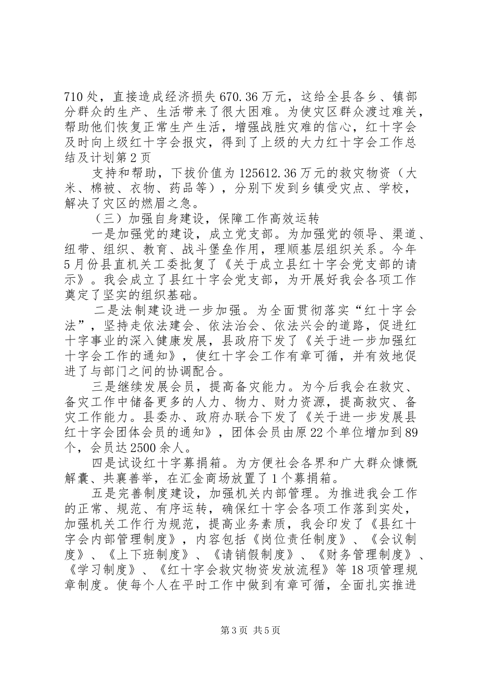 红十字会工作总结及计划_第3页