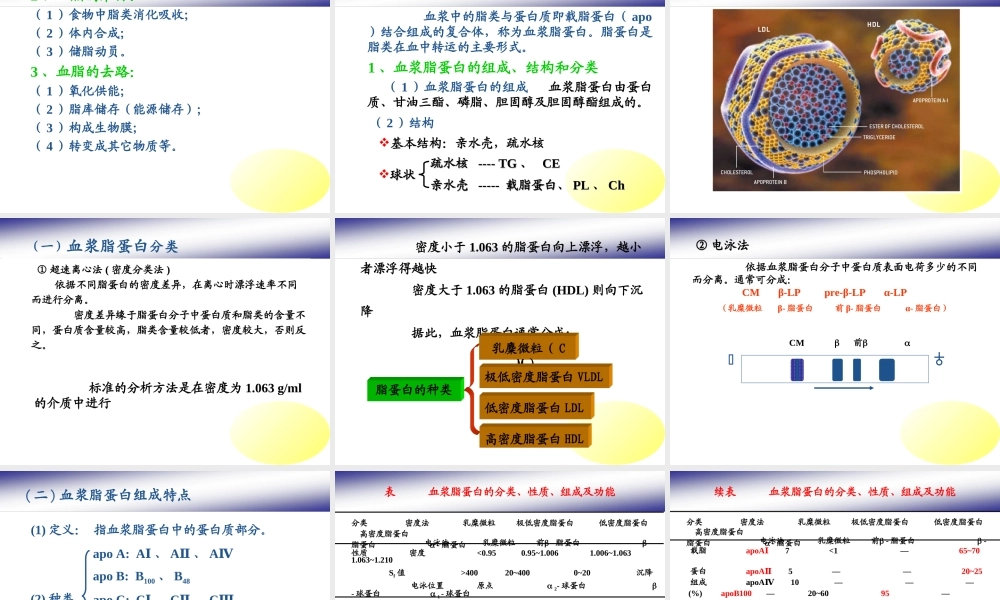 脂类代谢-------PPT课件