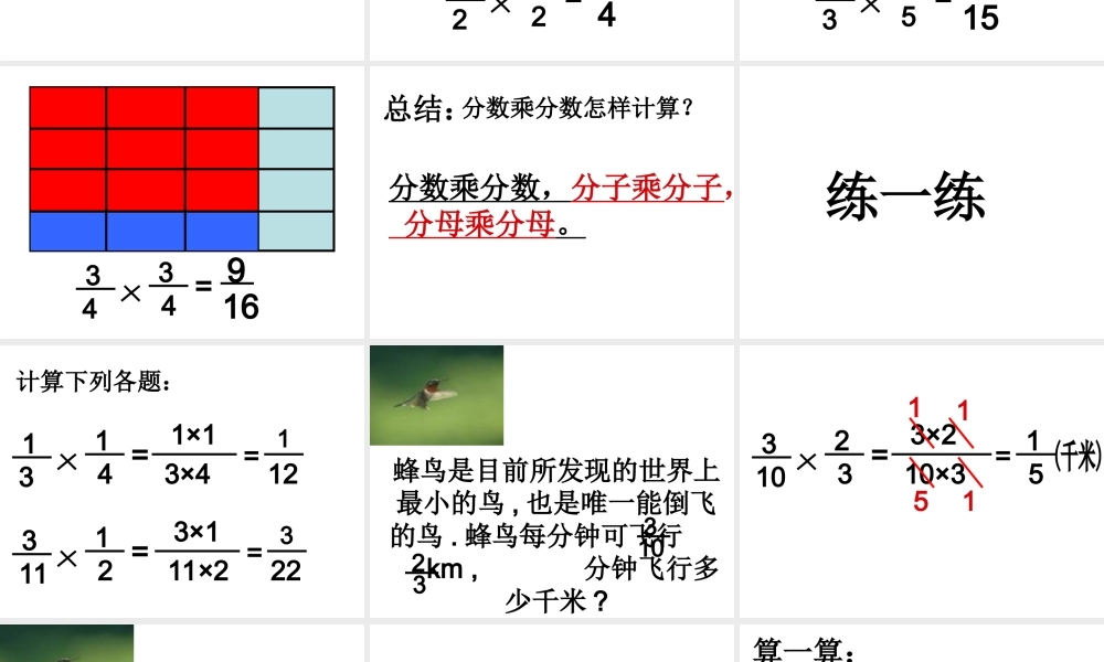 分数乘分数教学课件