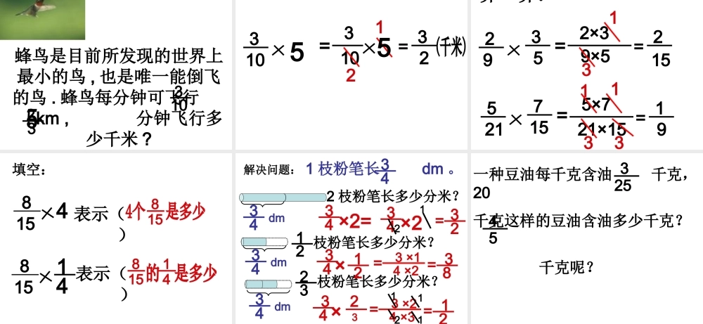 分数乘分数教学课件