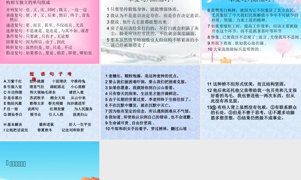 语法语素、词语、短语、句子