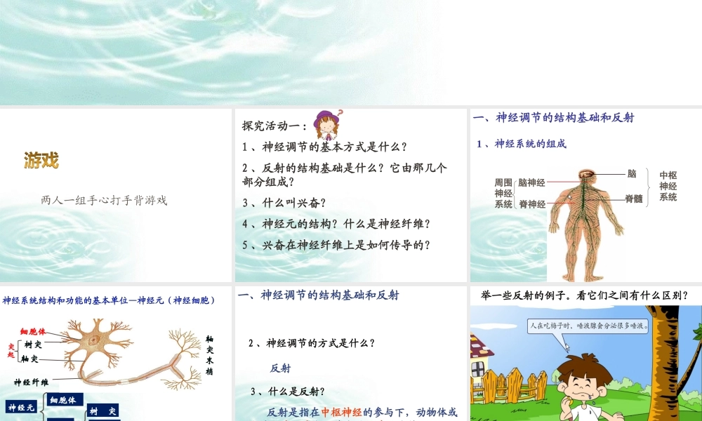 必修三21通过神经系统的调节