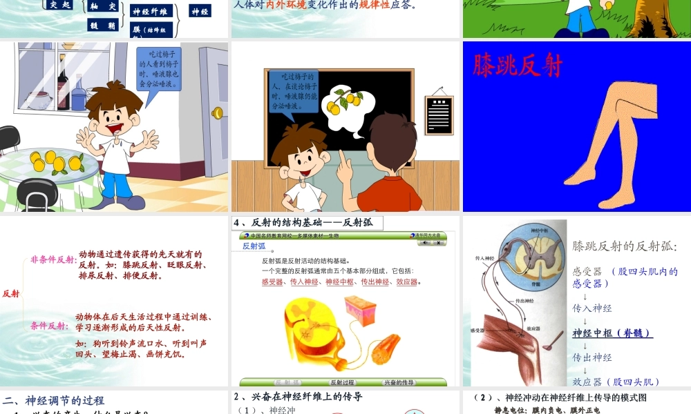 必修三21通过神经系统的调节