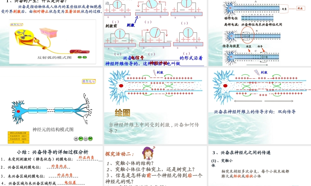 必修三21通过神经系统的调节