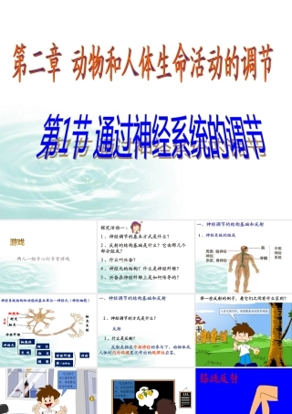 必修三21通过神经系统的调节