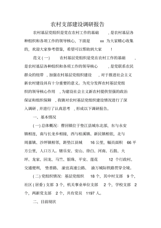 农村支部建设调研报告