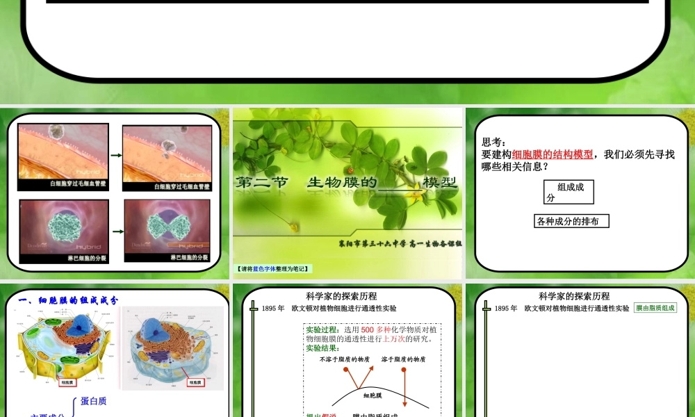 生物膜的流动镶嵌模型——曹正琼3