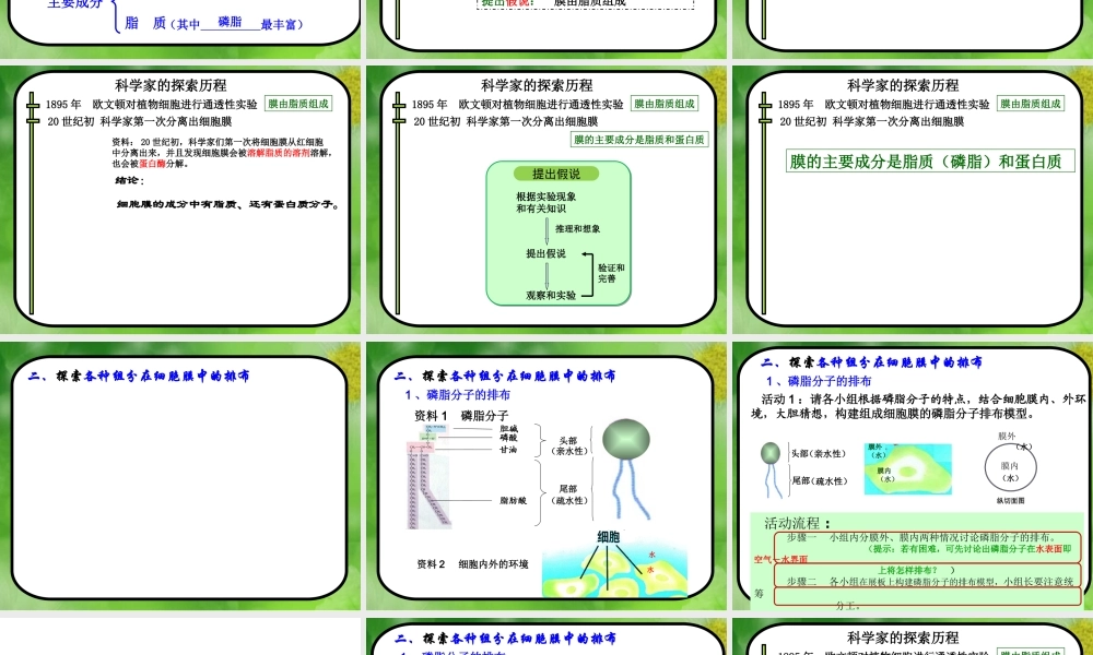 生物膜的流动镶嵌模型——曹正琼3