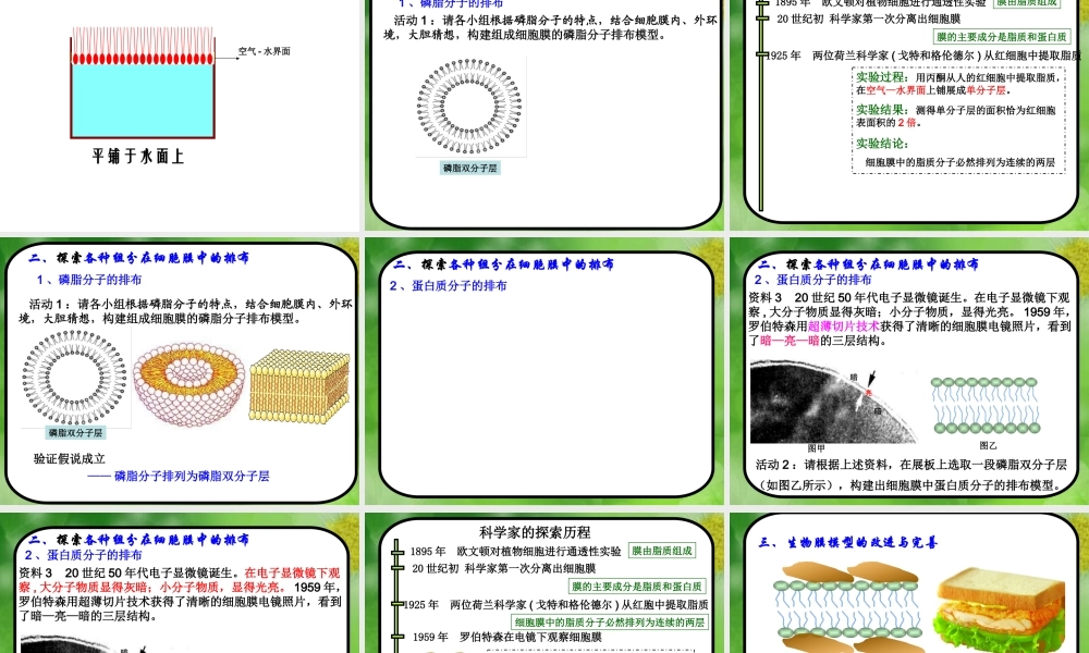生物膜的流动镶嵌模型——曹正琼3