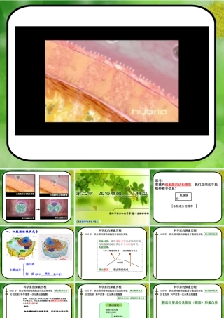 生物膜的流动镶嵌模型——曹正琼3