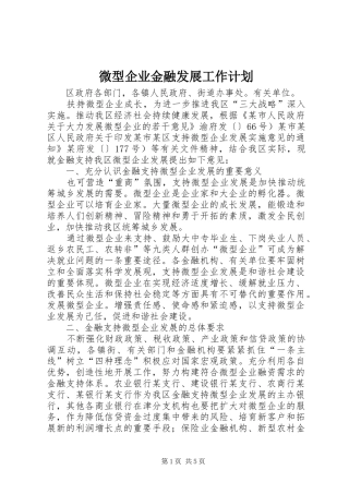 微型企业金融发展工作计划