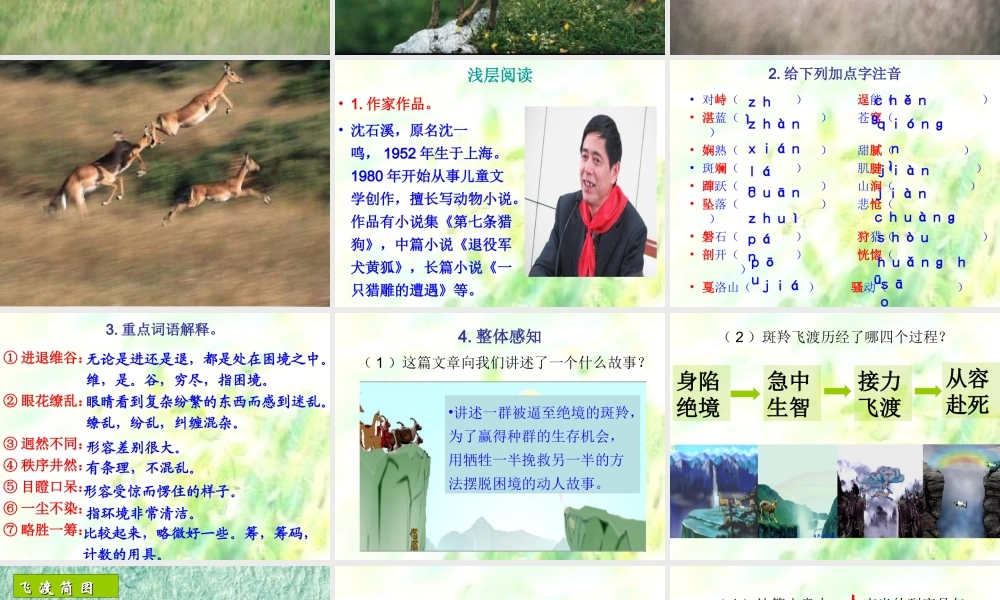 斑羚飞渡（课件）
