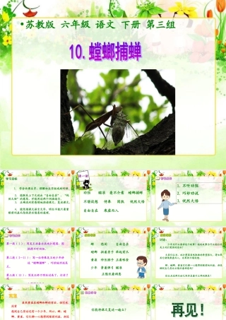 螳螂捕蝉课件1