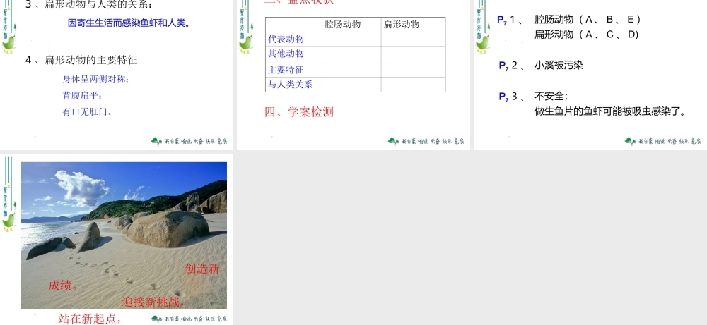 腔肠动物和扁形动物 (2)
