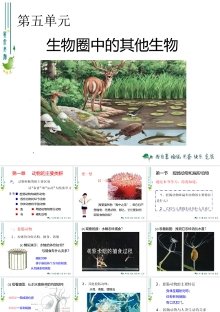 腔肠动物和扁形动物 (2)