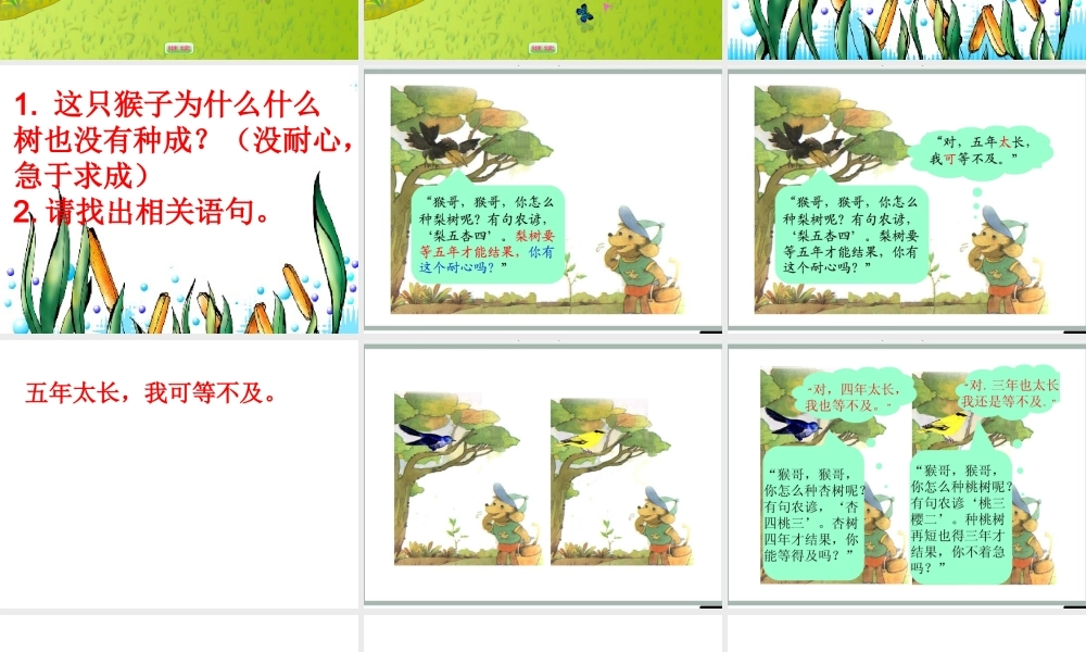 猴子钟果树演示文稿1