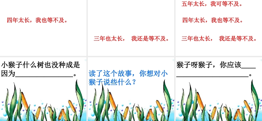 猴子钟果树演示文稿1