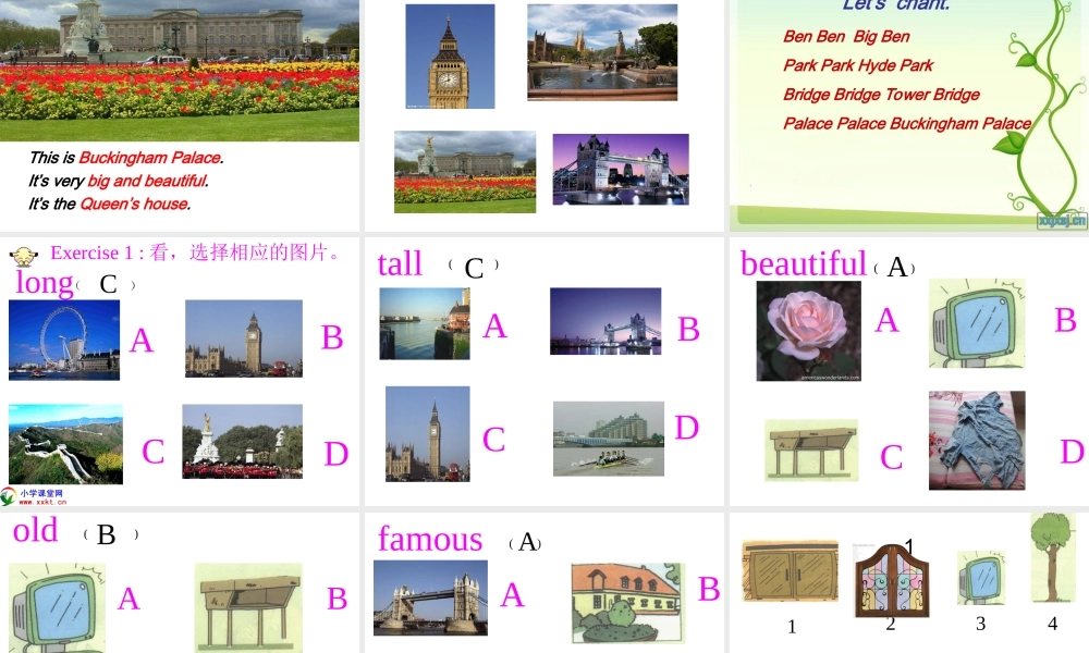 小学英语外研版四年级下册_module_2_unit_2It'sveryold