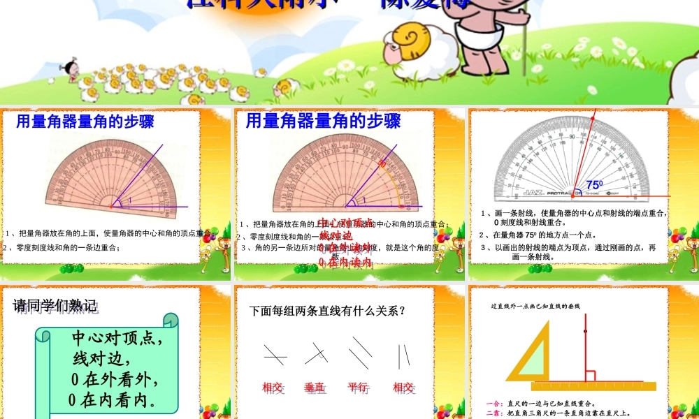 垂线和平行线的复习