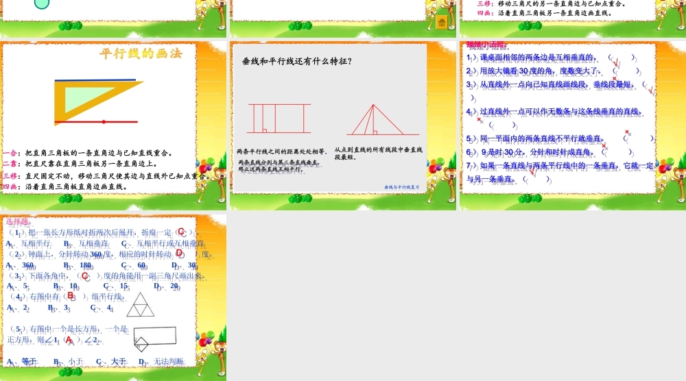 垂线和平行线的复习