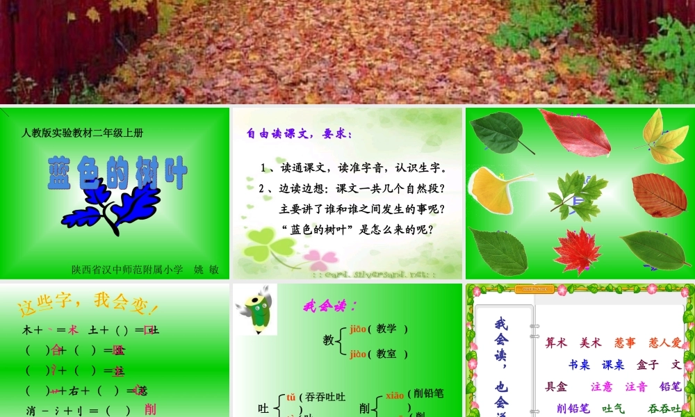 蓝色的树叶 课件