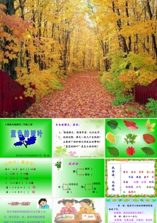 蓝色的树叶 课件