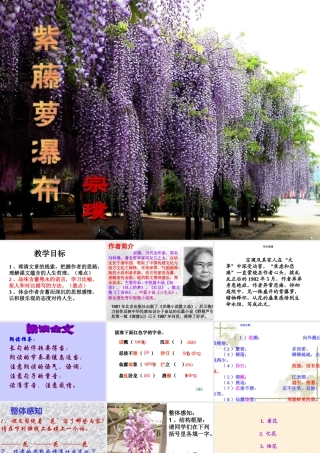 第16课《紫藤萝瀑布》课件教学用