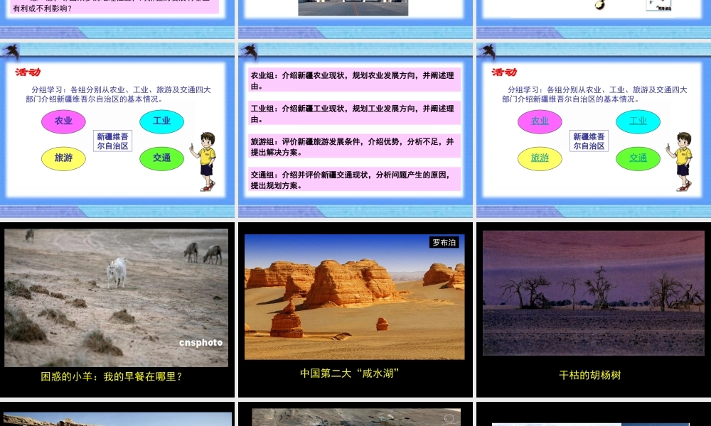 长郡双语张先兵