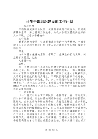计生干部组织建设的工作计划