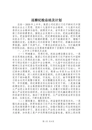 巡察纪检总结及计划