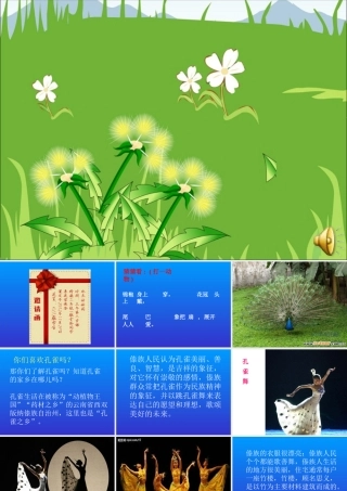 音乐课件《金孔雀轻轻跳 (2)
