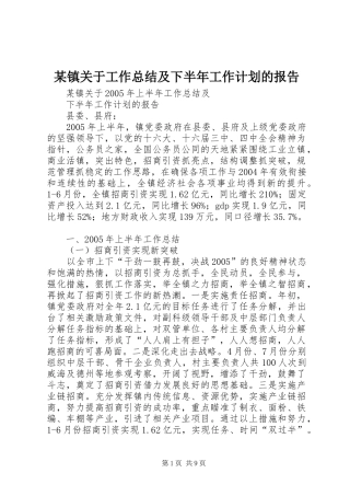 某镇关于工作总结及下半年工作计划的报告