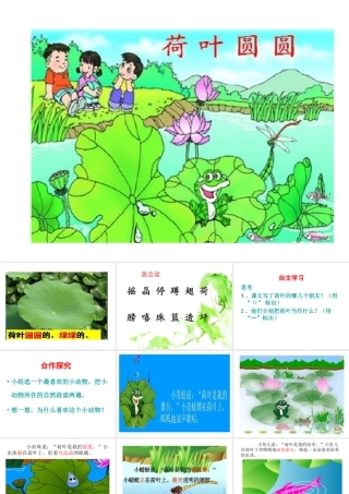荷叶圆圆课件2