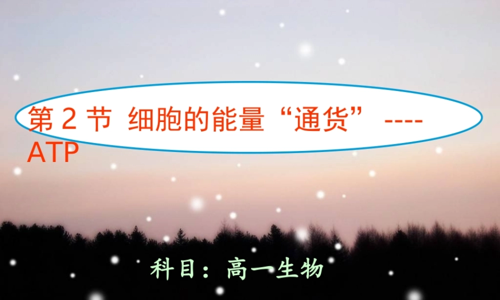 生物学必修一52《细胞的能量“通货”——ATP》PPT课件